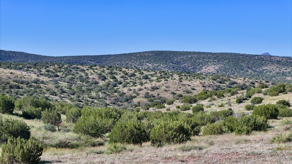 27.46 acres in Brewster County - photo 4