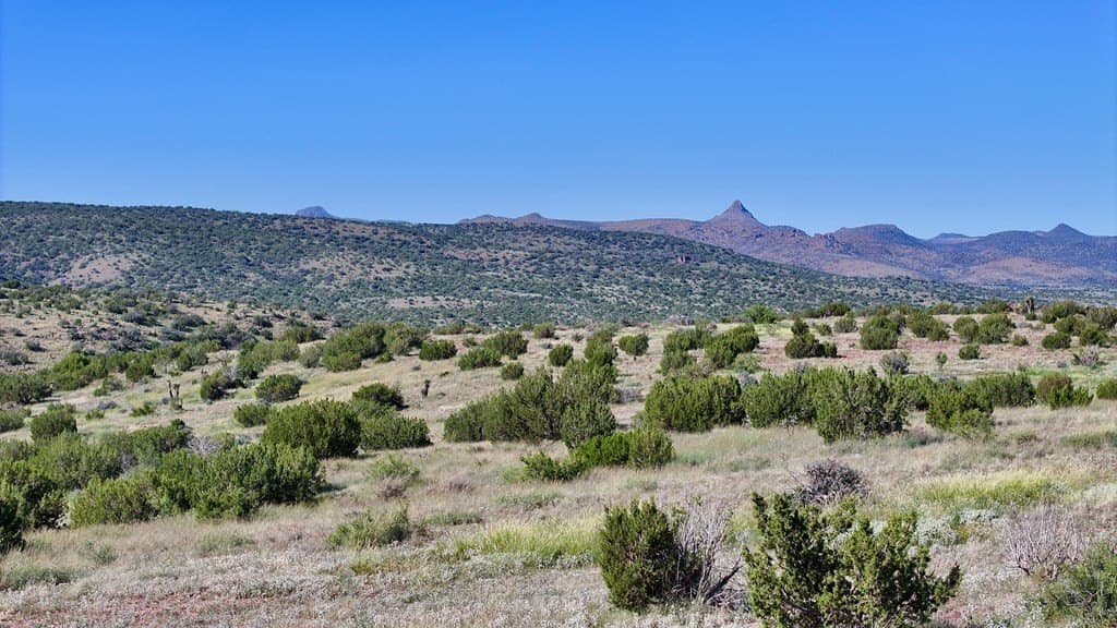 27.46 acres in Brewster County - photo 3