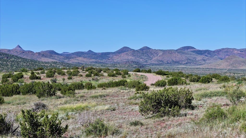 27.46 acres in Brewster County - photo 2