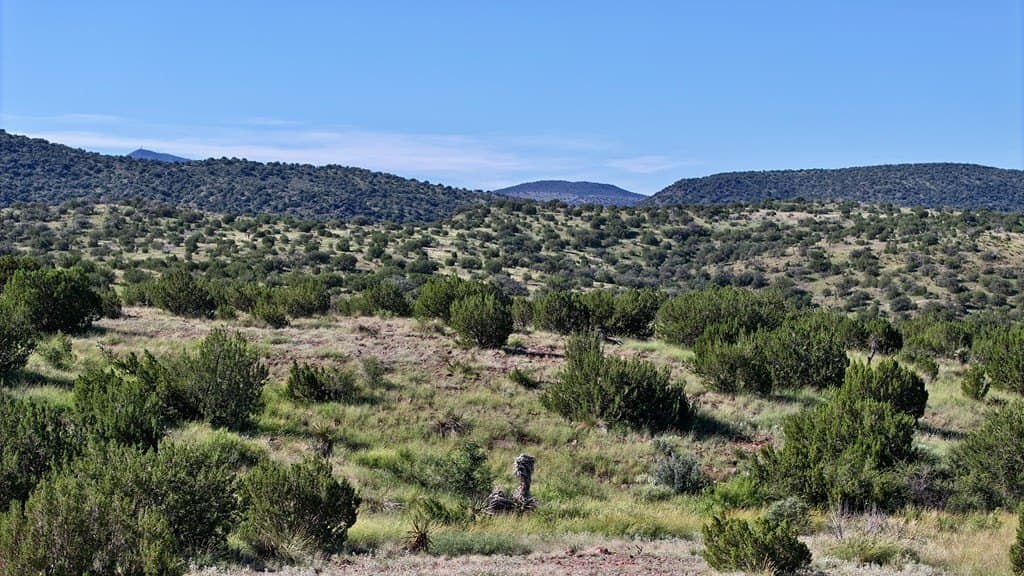 27.46 acres in Brewster County - photo 5