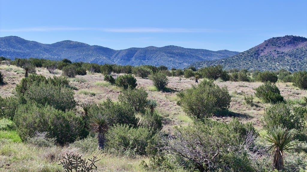 27.46 acres in Brewster County - photo 7