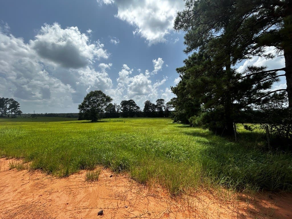 2 acres in Texas County - photo 8