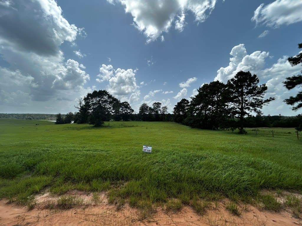 2 acres in Texas County gallery image 2
