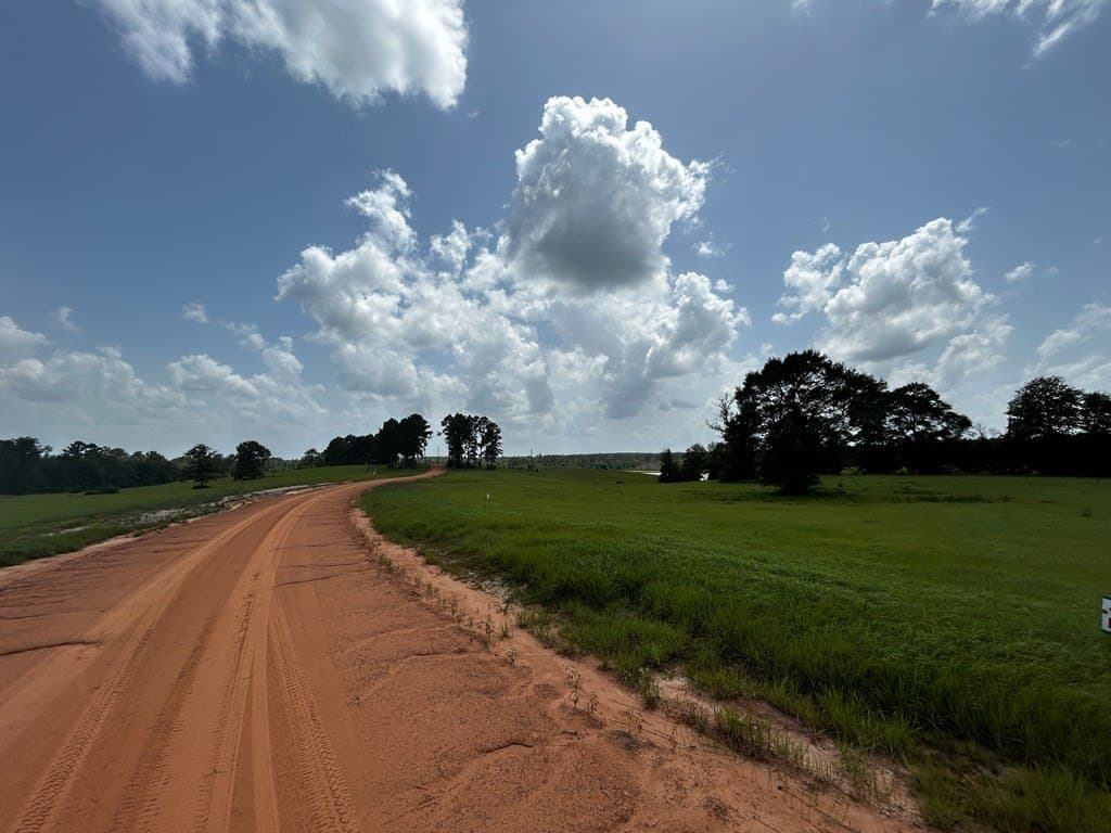2 acres in Texas County gallery image 4