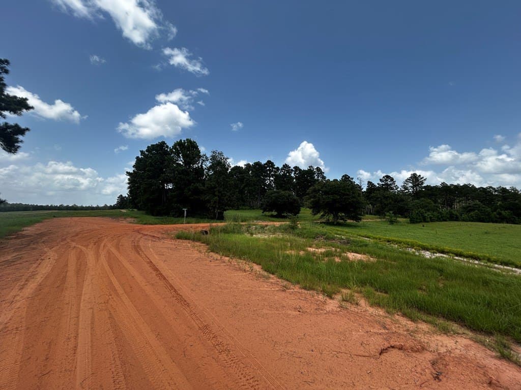 2 acres in Texas County featured view