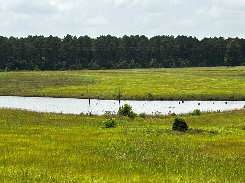 2 acres in Texas County gallery image 3