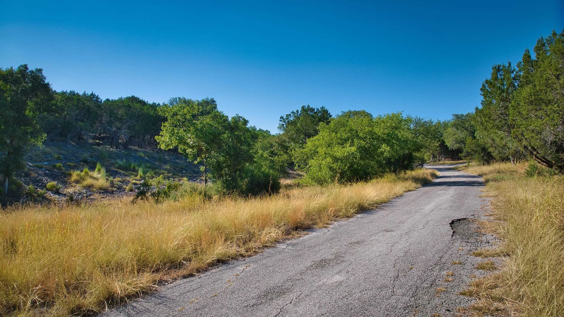 0.33 acres in Burnet County - photo 6