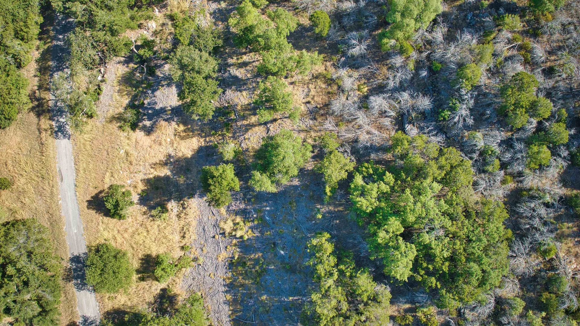 0.33 acres in Burnet County - photo 7