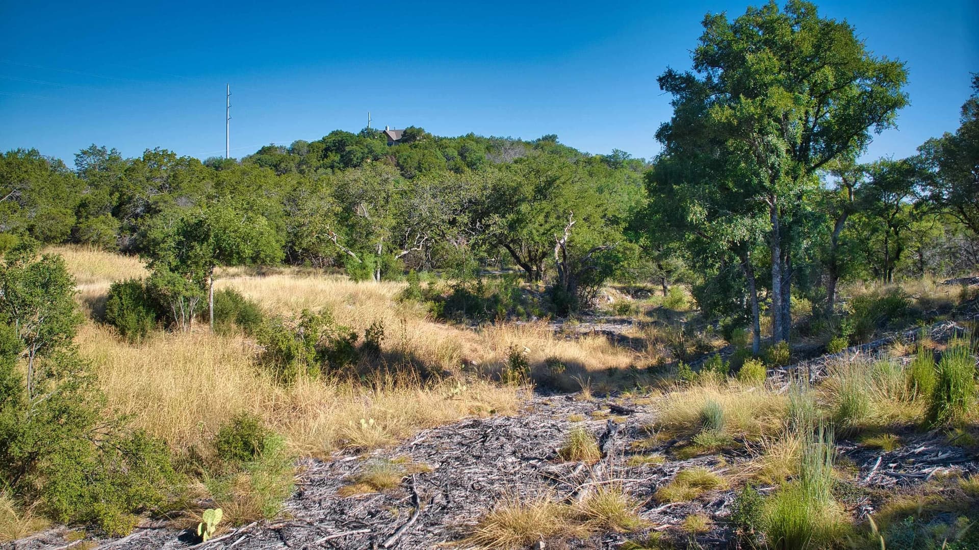 0.33 acres in Burnet County - photo 3