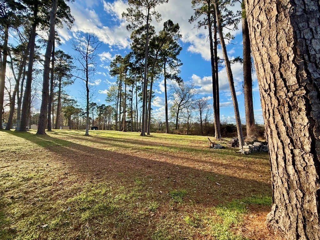 1.51 acres in Texas County - photo 24