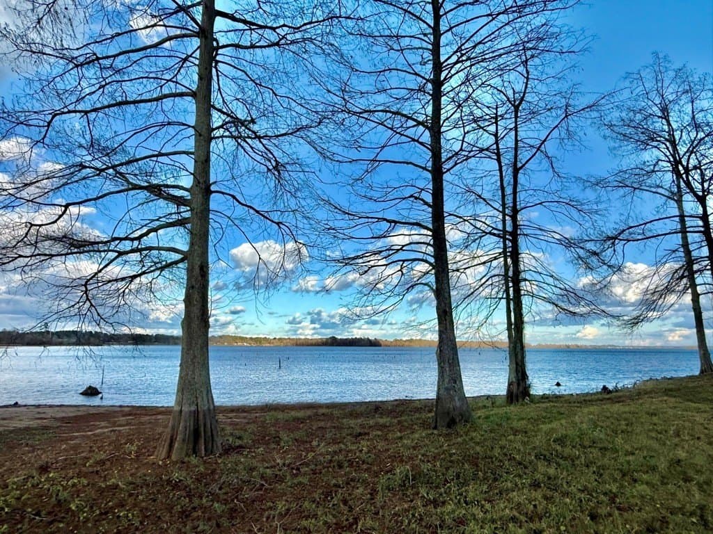 1.51 acres in Texas County - photo 8