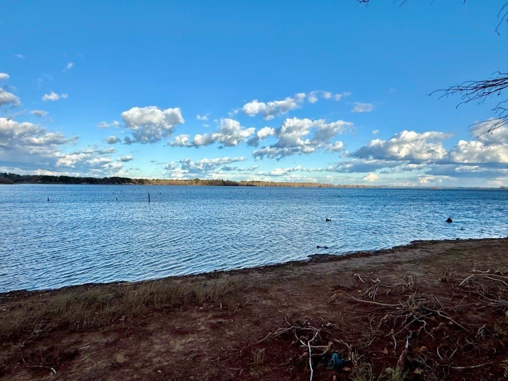 1.51 acres in Texas County - photo 10
