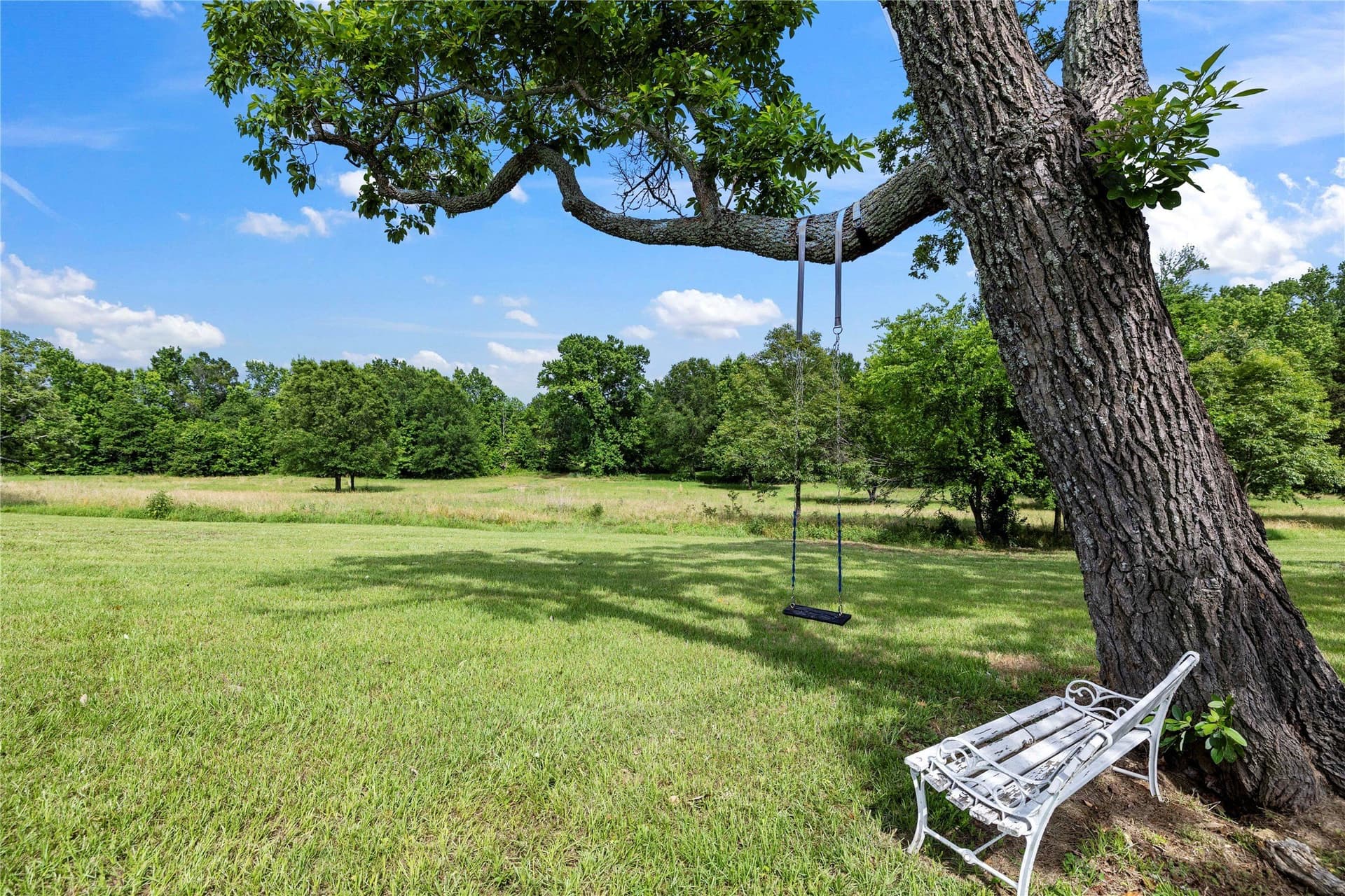 25 acres in Henderson County - photo 36