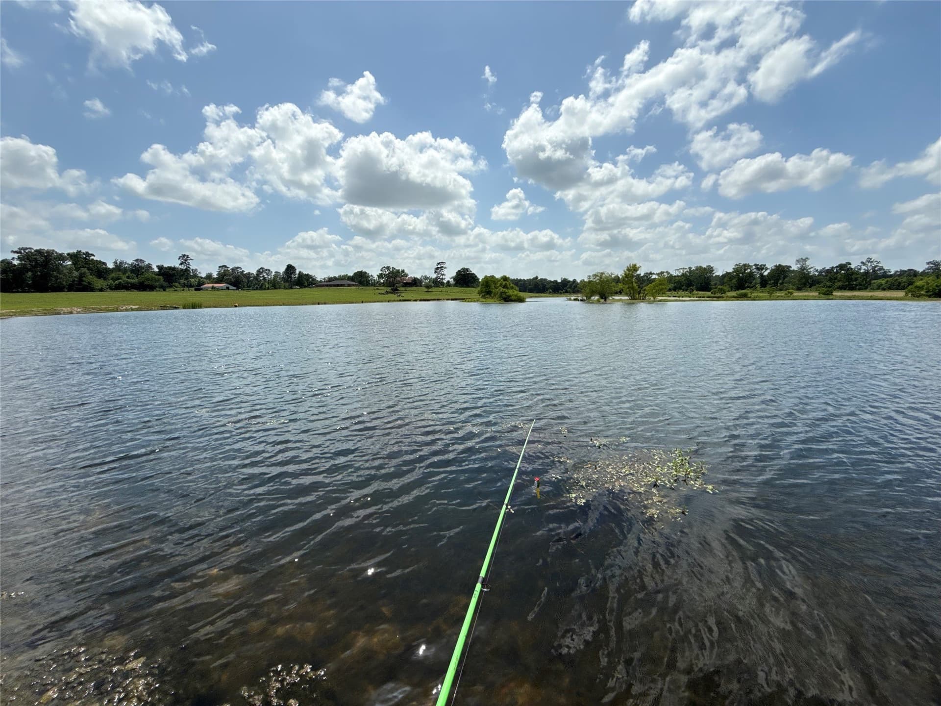 275 acres in Wood County - photo 24