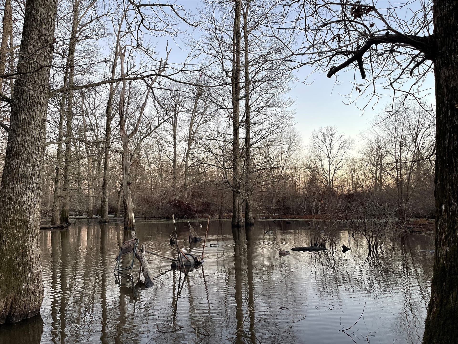 275 acres in Wood County - photo 13