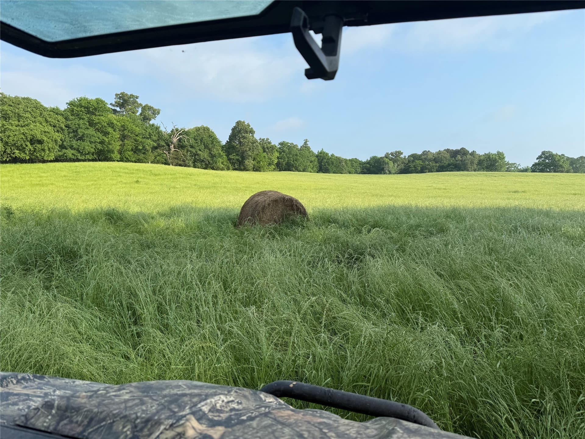 275 acres in Wood County - photo 7