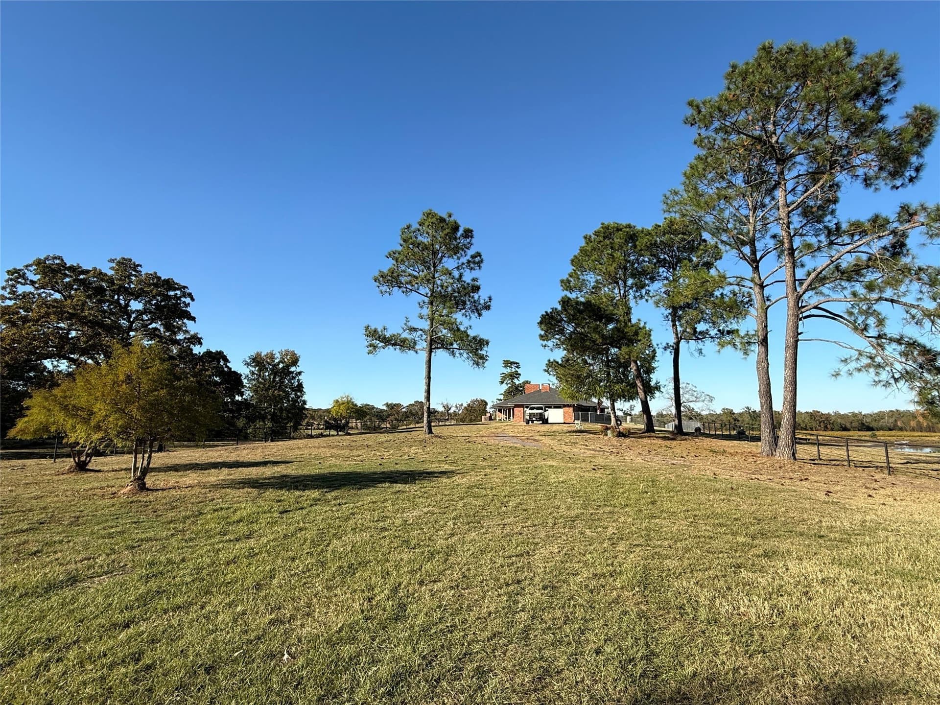 275 acres in Wood County - photo 9