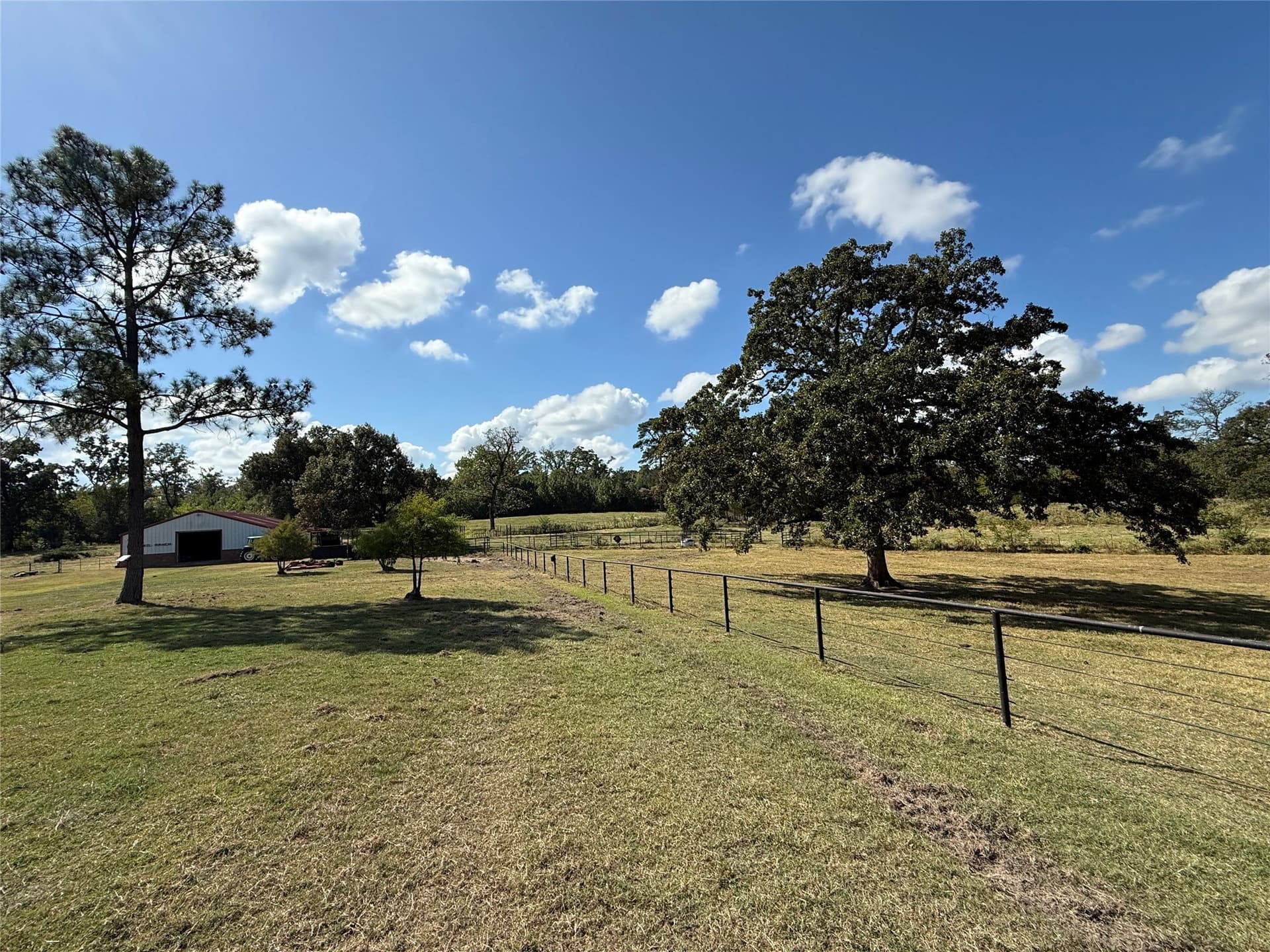 275 acres in Wood County - photo 26