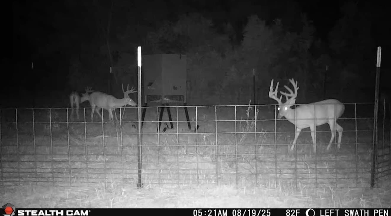 275 acres in Wood County - photo 15