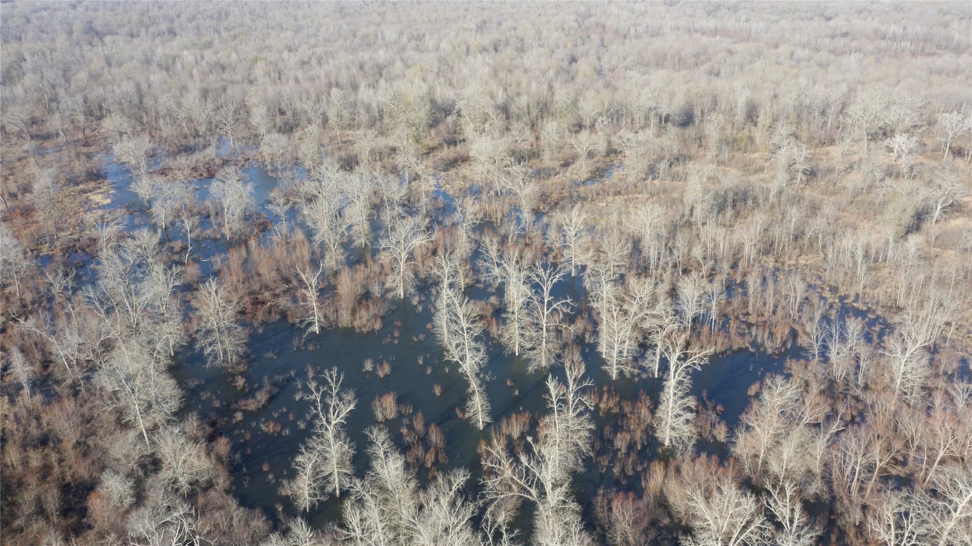 275 acres in Wood County - photo 11