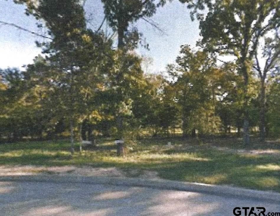 0.46 acres in Smith County gallery image 2
