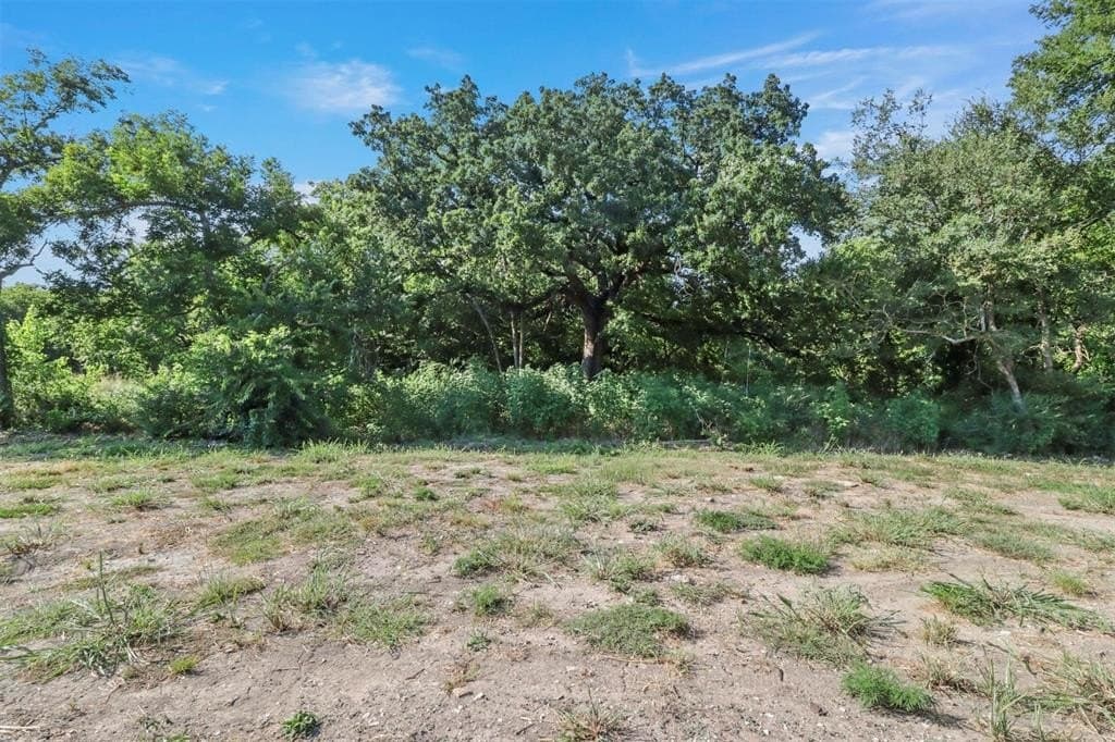 0.42 acres in Grayson County gallery image 3