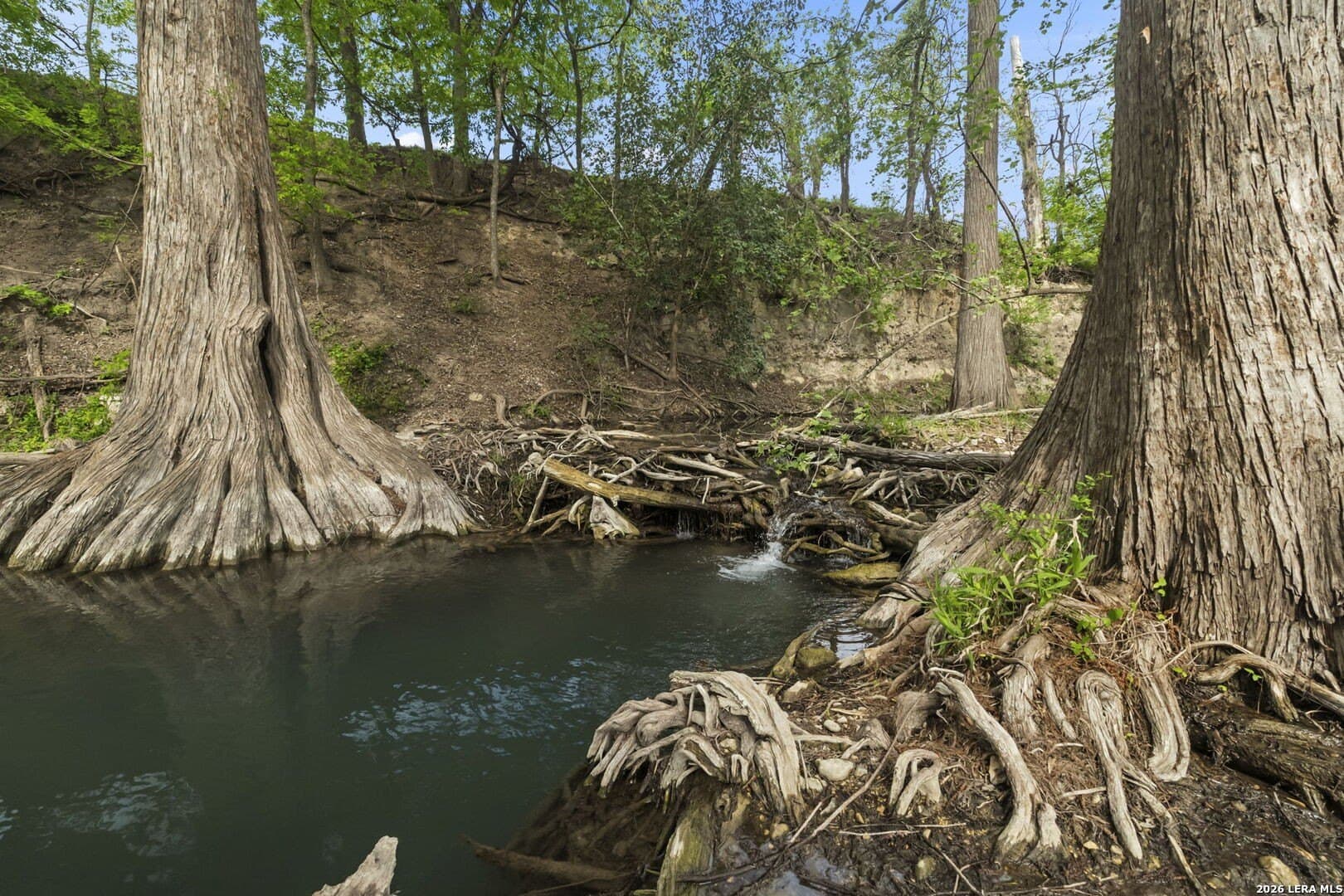 53.34 acres in Kendall County - photo 73
