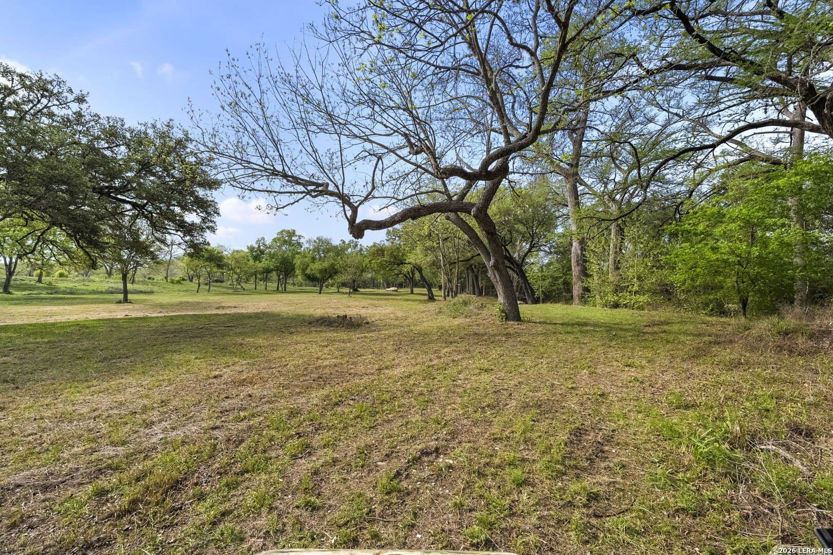 53.34 acres in Kendall County - photo 83