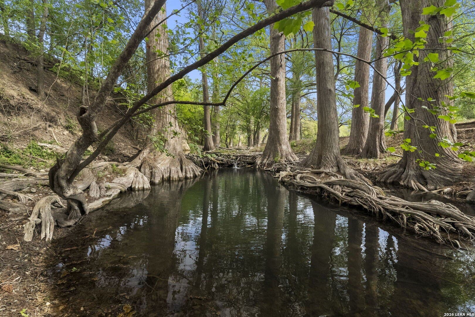 53.34 acres in Kendall County - photo 76