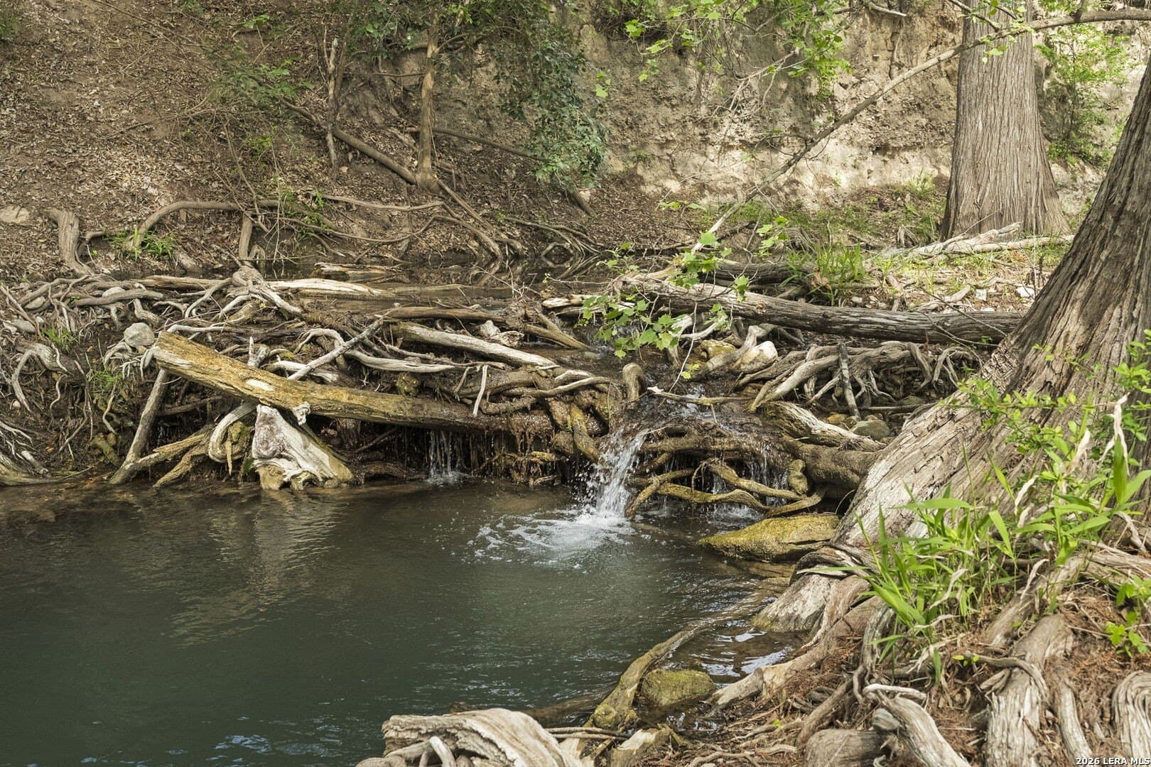 53.34 acres in Kendall County - photo 10