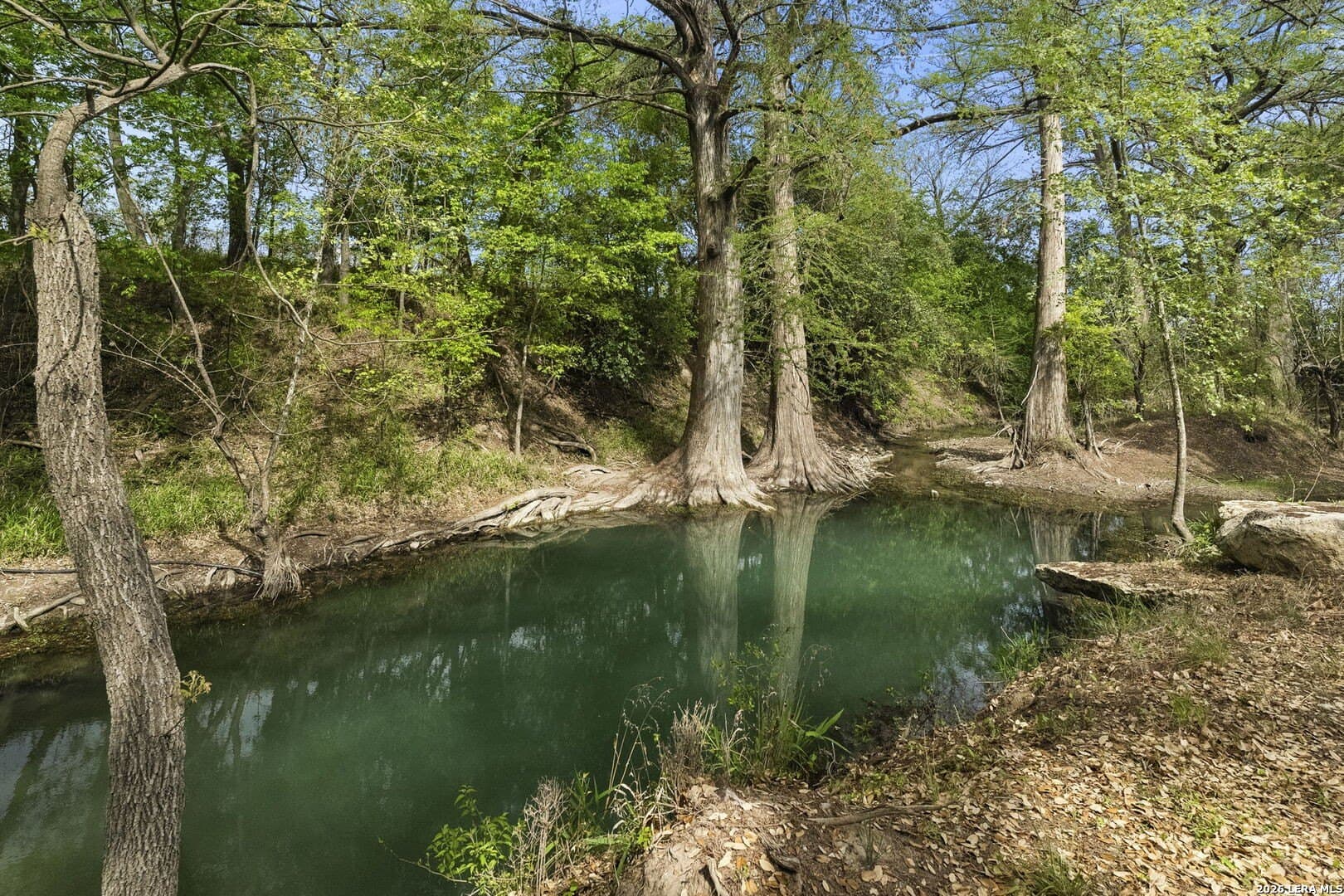 53.34 acres in Kendall County - photo 7