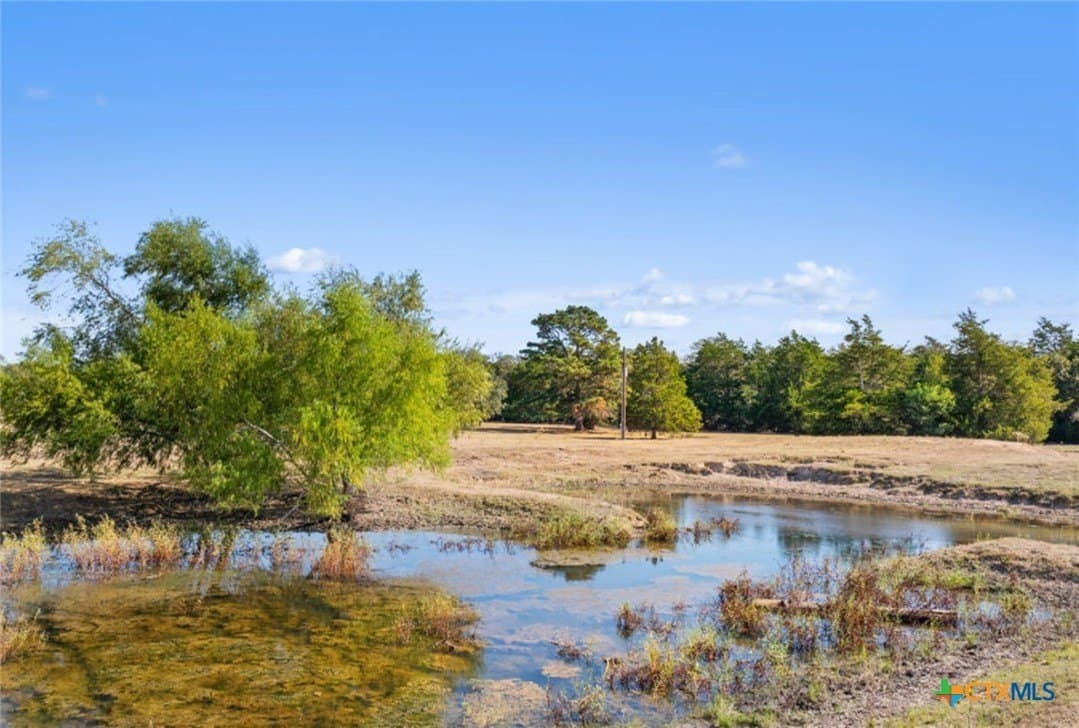 21 acres in Bastrop County gallery image 3
