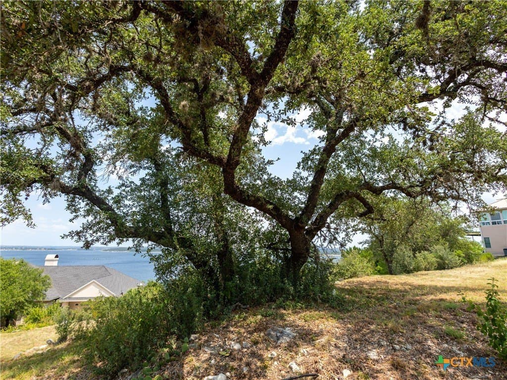 0.72 acres in Comal County - photo 23
