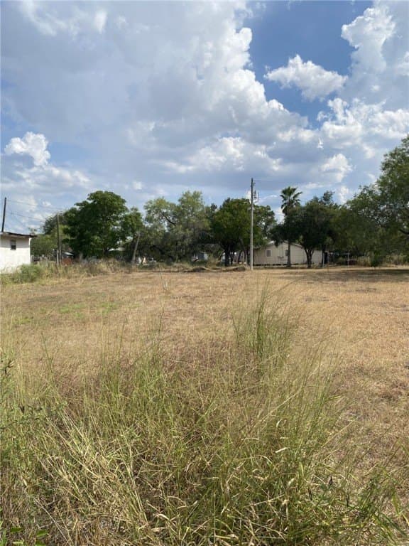 0.16 acres in Jim Wells County gallery image 2