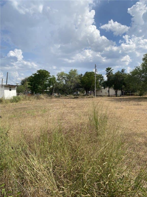 0.16 acres in Jim Wells County gallery image 3