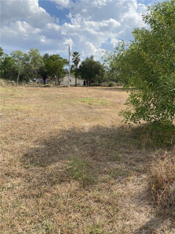 0.16 acres in Jim Wells County gallery image 4