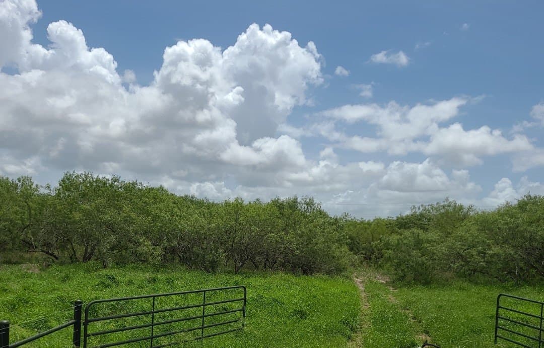 0 acres in Kleberg County