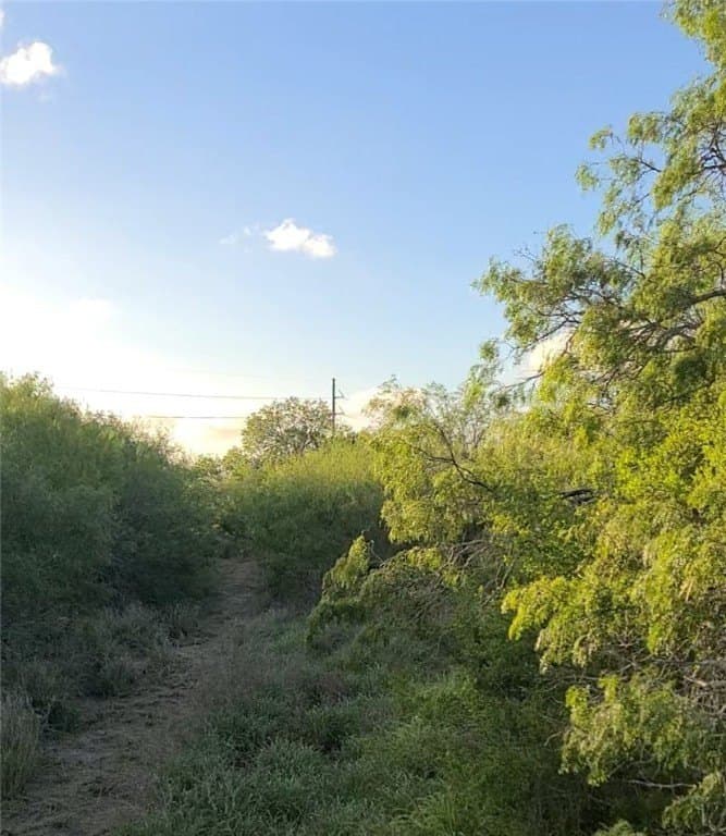 0 acres in Kleberg County gallery image 2