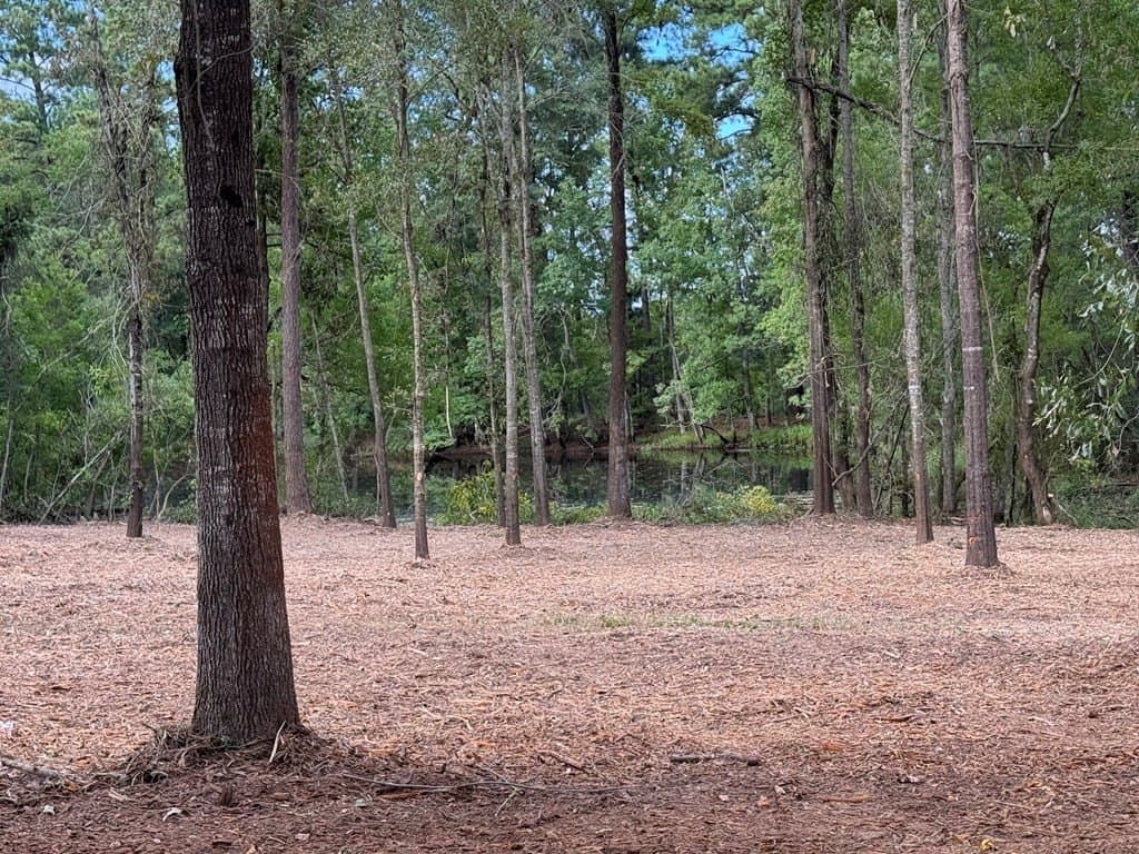 10.33 acres in Texas County gallery image 2