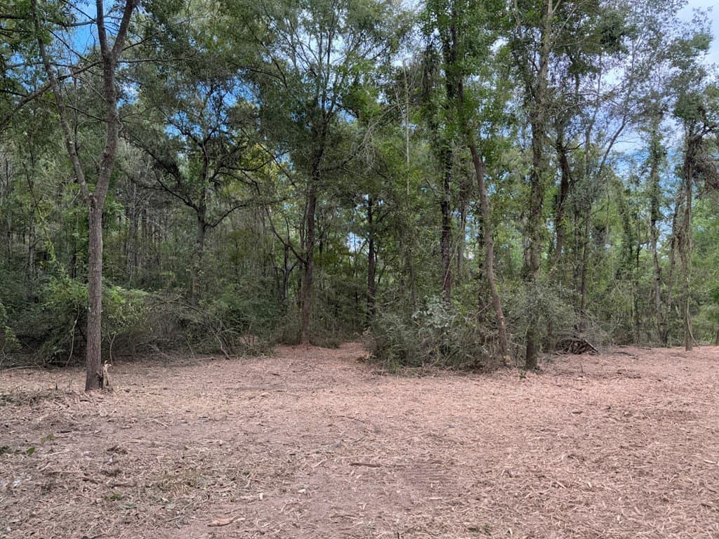 10.33 acres in Texas County featured view