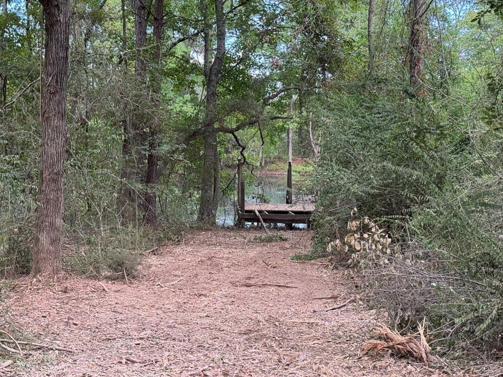 10.33 acres in Texas County gallery image 4