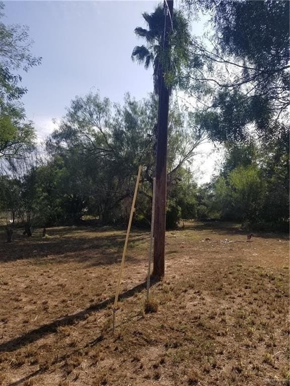 0.75 acres in Hidalgo County gallery image 2