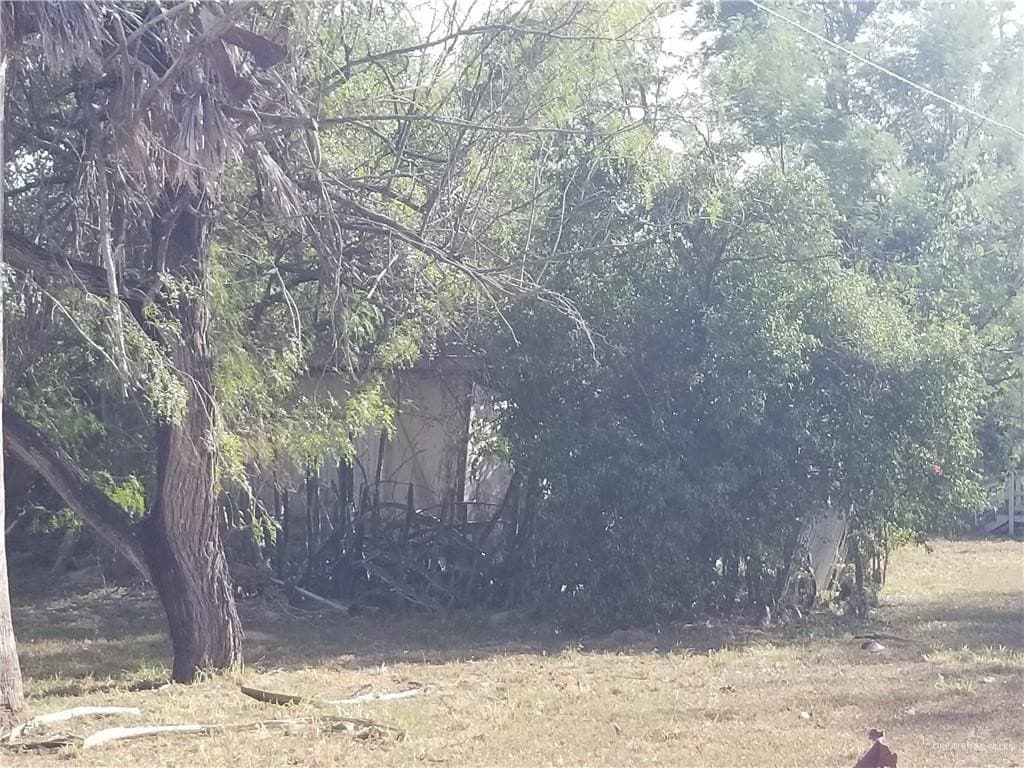 0.75 acres in Hidalgo County gallery image 3