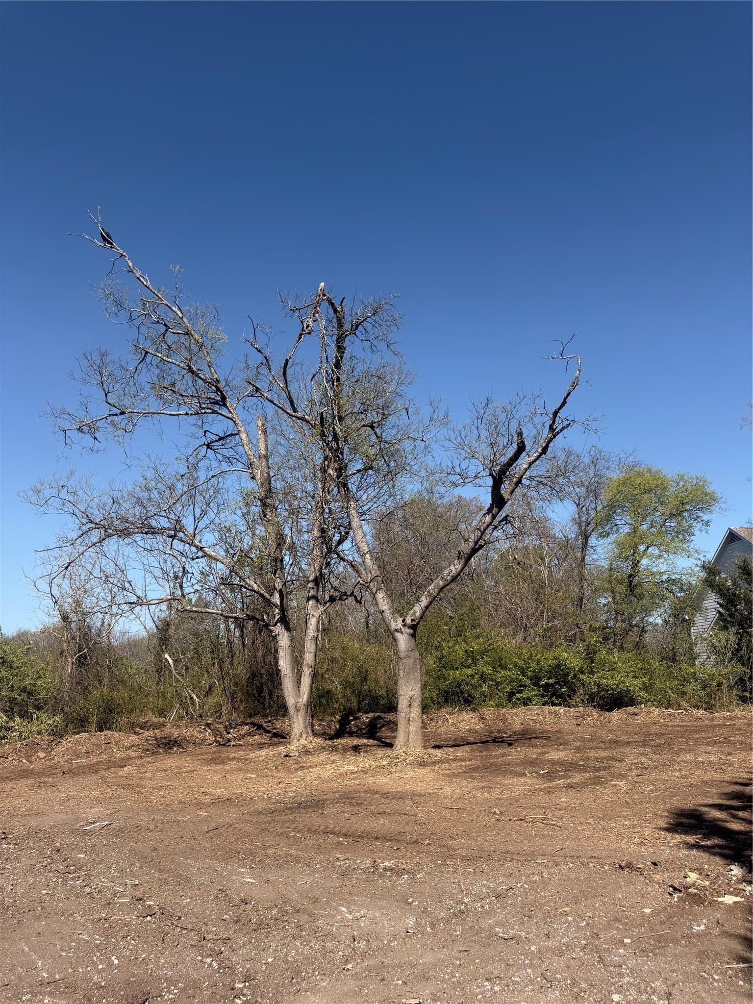 0.43 acres in Ellis County - photo 16