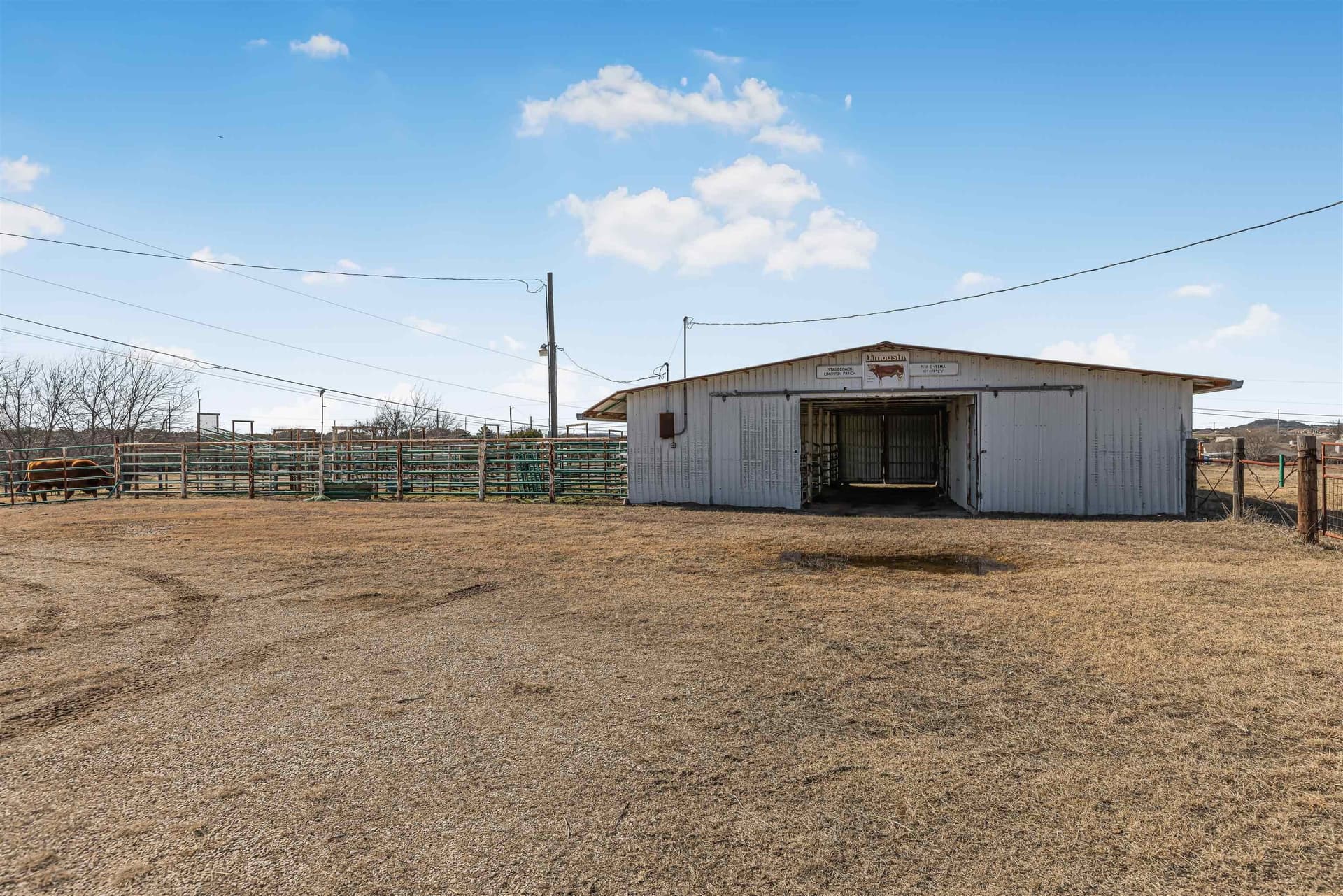 50.98 acres in Bell County gallery image 4