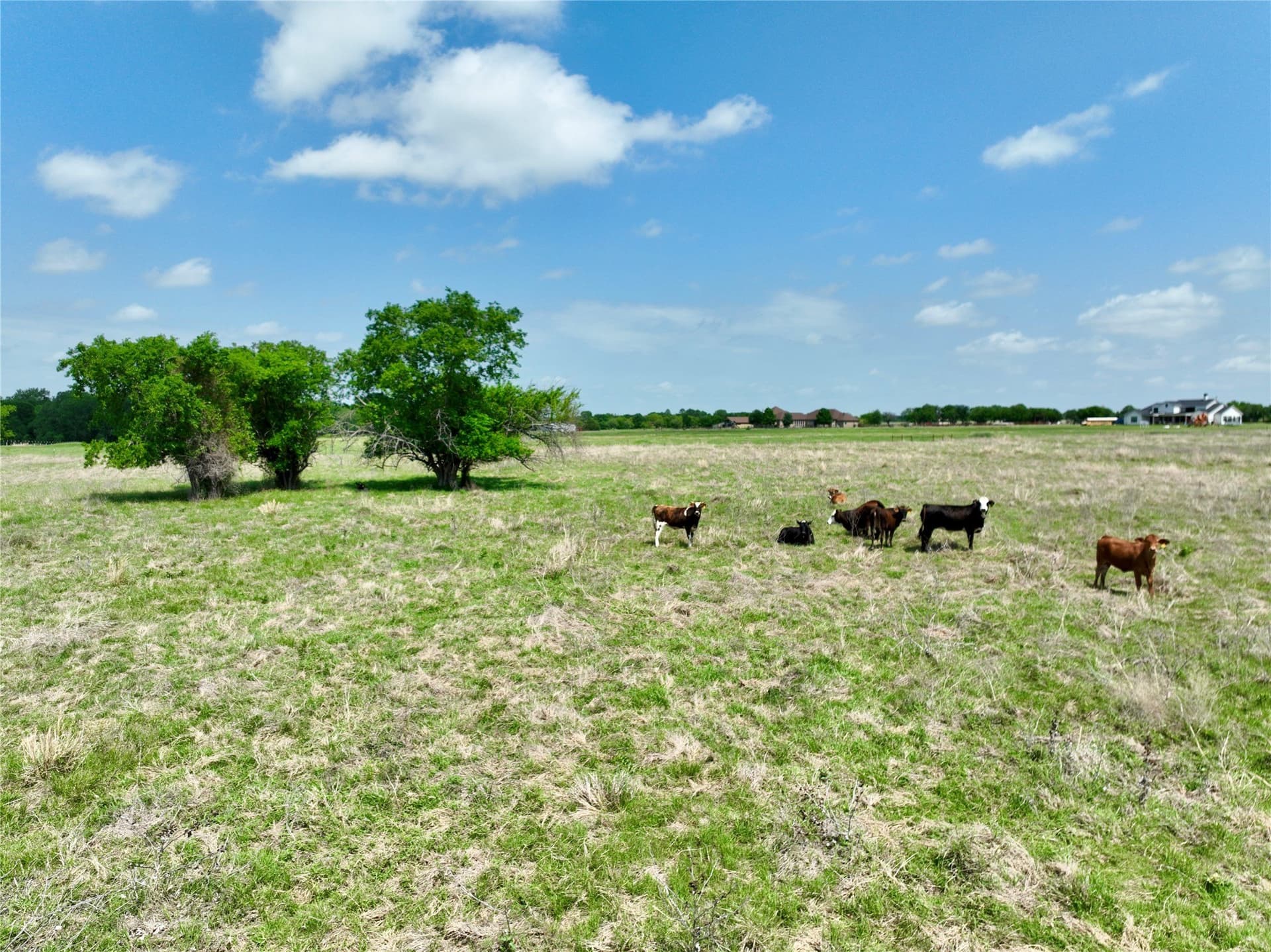 11 acres in Ellis County - photo 8