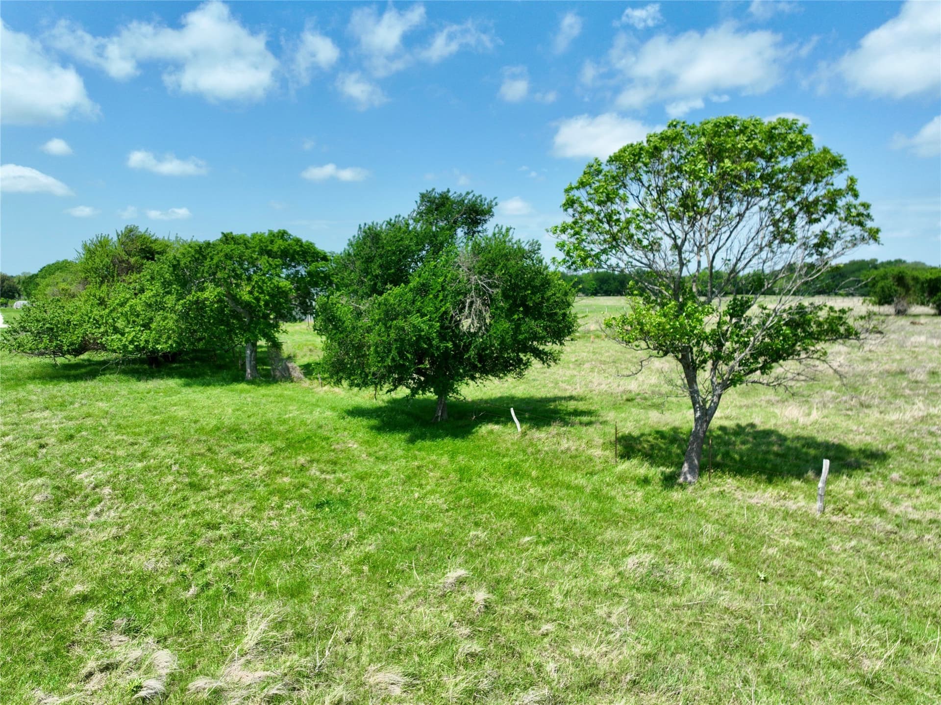 11 acres in Ellis County - photo 6