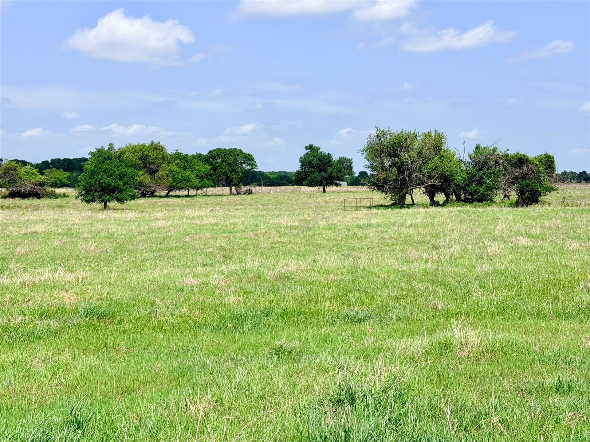 11 acres in Ellis County gallery image 3
