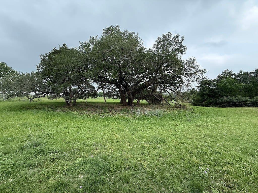 11.5 acres in Fayette County gallery image 2
