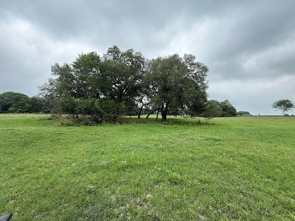 11.5 acres in Fayette County gallery image 3